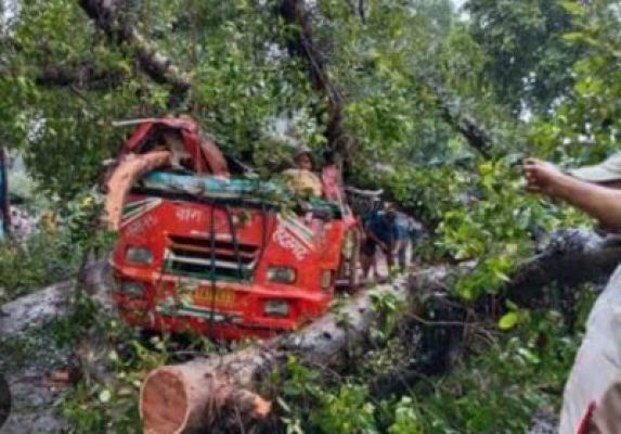 चलती बस के ऊपर गिरा पेड़, महिला शिक्षक समेत 5 की दर्दनाक मौत