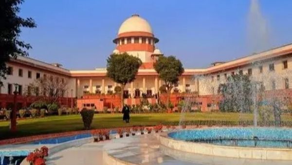 आवारा कुत्तों पर &lsquo;सुप्रीम फैसला&rsquo;: छत्तीसगढ़ समेत सभी राज्यों से शीर्ष न्यायालय बोला- नसबंदी करके सभी कुत्तों को शेल्टर होम में रखें, एक भी सड़कों पर न दिखें