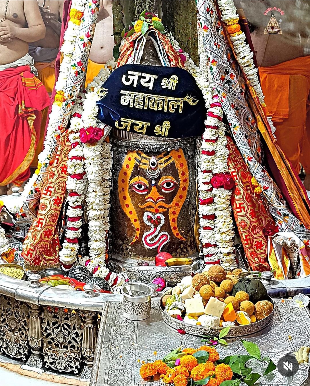 24 जनवरी महाकाल आरती: शेषनाग धारण कर बाबा महाकाल का श्रृंगार, घर बैठे यहां कीजिए दर्शन