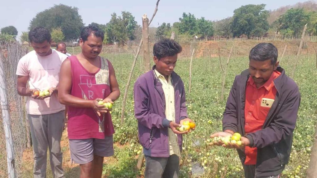 बेमौसम बारिश ने बढ़ाई अन्नदाताओं की चिंता, साग-सब्जी समेत फलोद्यान को हुआ भारी नुकसान, किसानों ने की मुआवजे की मांग