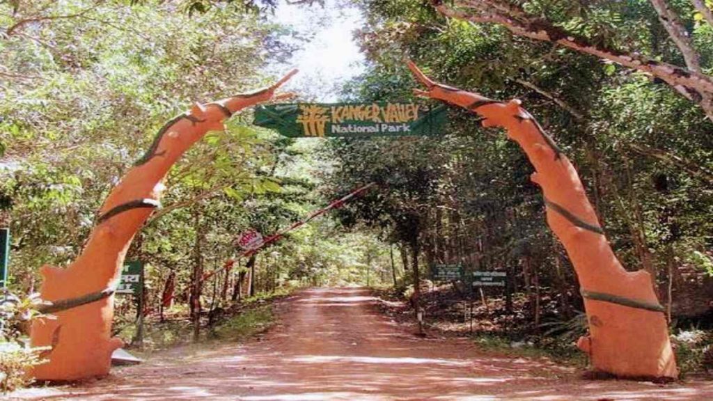 बस्तर में नक्सल गतिविधियों में कमी से बढ़ी पर्यटकों की संख्या, टूरिज्म से हुई रिकॉर्ड तोड़ कमाई, 5 लाख से अधिक टूरिस्ट पहुंचे वनांचल