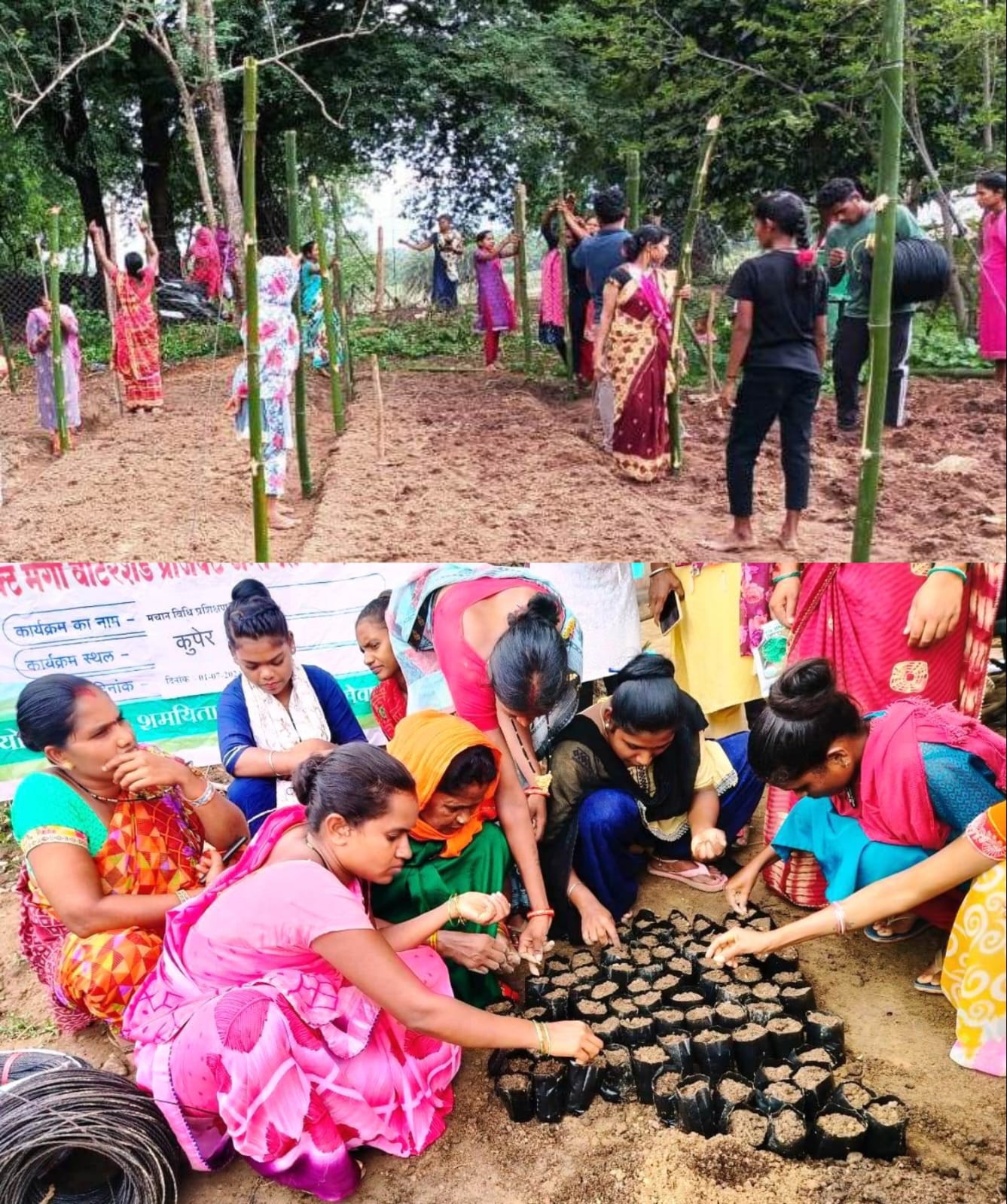 1000 दीदियों की बाड़ी में मचान विधि से लगाई जा रही है सब्जी
