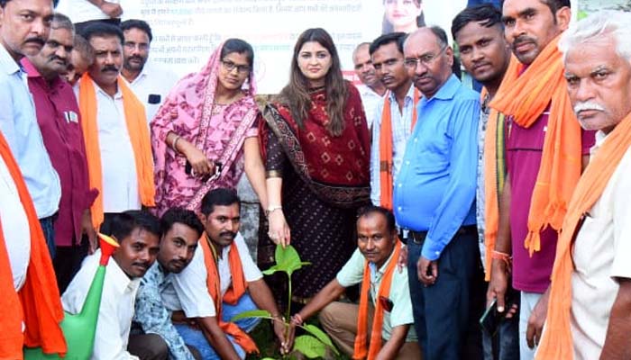 एक पेड़ माँ के नाम अभियान के तहत पंडरिया विधानसभा में लगाएं जाएंगे 51,000 पौधे, विधायक बोहरा ने शुरू की मुहिम