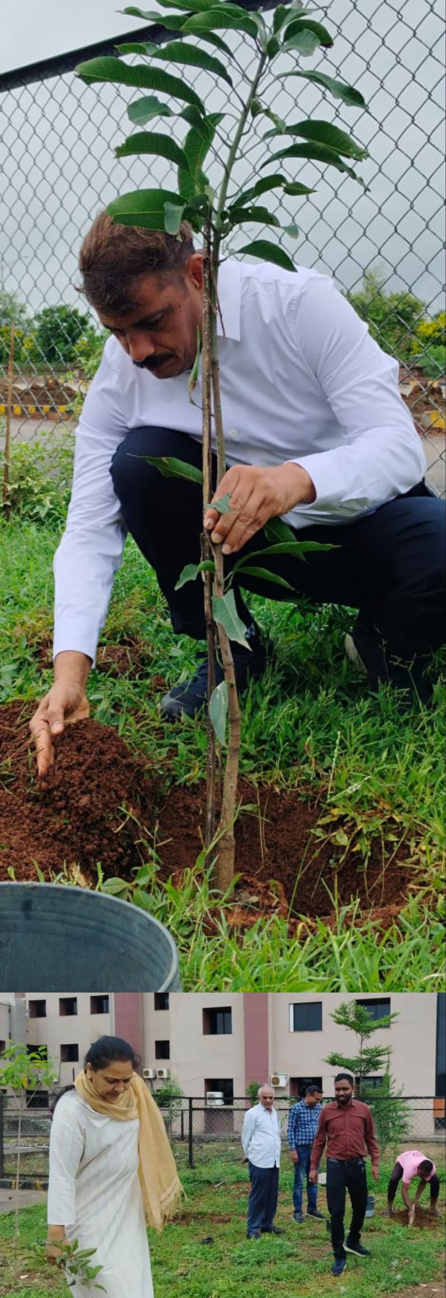 एक पेड़ माँ के नाम अभियान के तहत राज्य सूचना आयोग में किया गया वृक्षारोपण