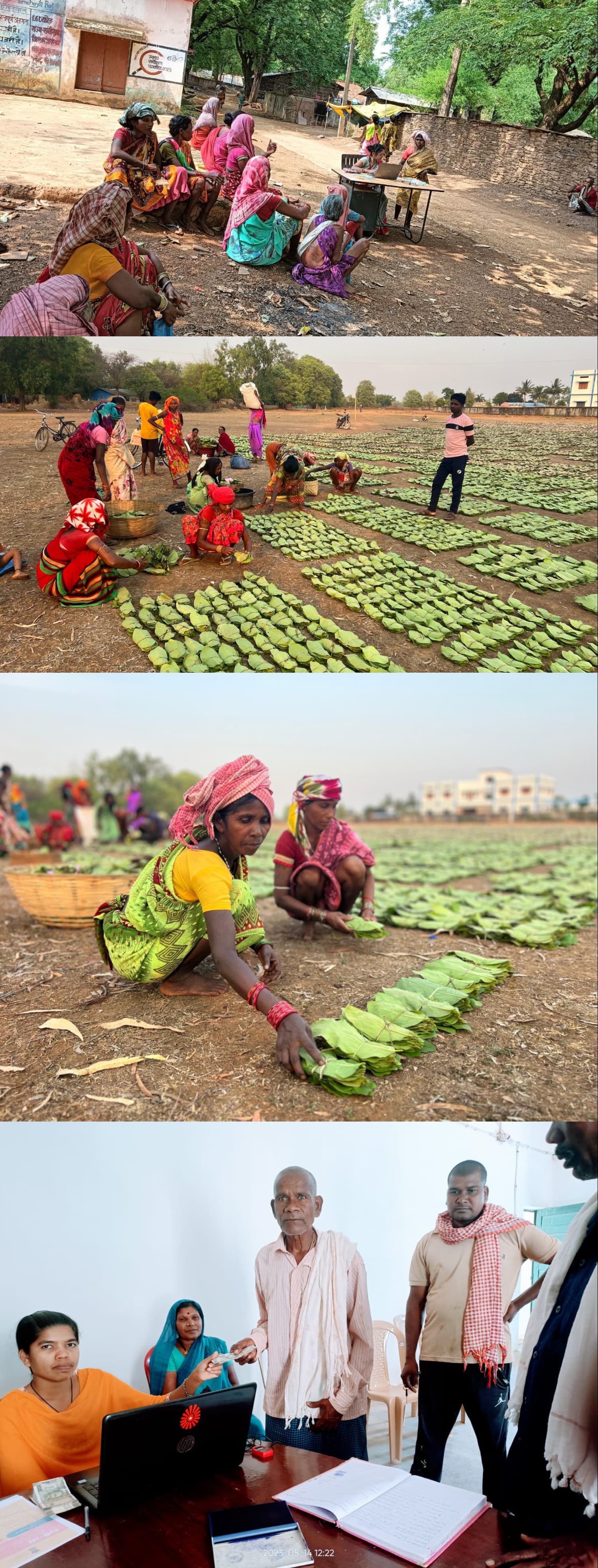 बस्तर के हरा सोना संग्राहकों को बैंक मित्र एवं बैंक सखियों से सीधे मिल रही पारिश्रमिक राशि