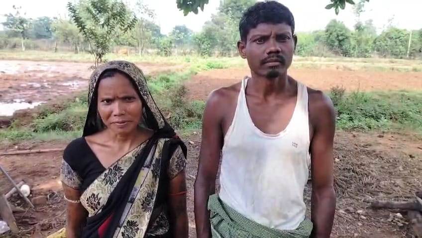 तेंदूपत्ता संग्रहण दर बढ़ने से संग्राहकों को हुआ 18.73 करोड़ अधिक मुनाफा, मुख्यमंत्री विष्णुदेव साय की पहल पर 5500 रुपये मानक बोरे की दर से दी जा रही राशि