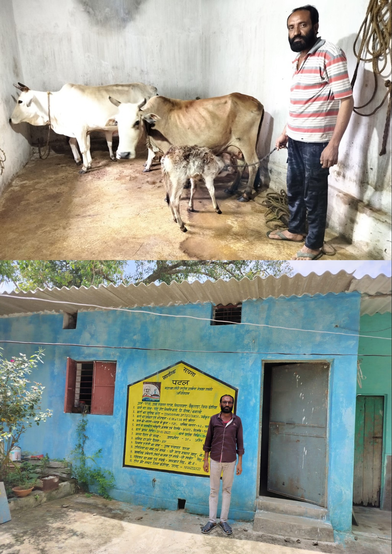 मनरेगा से पशु आश्रय पाकर दीपक हुआ खुशहाल, दुग्ध उत्पादन बना अतिरिक्त आय का जरिया