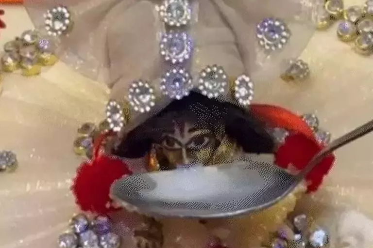 जन्माष्टमी पर अद्भुत नजारा: लड्डू गोपाल ने पिया दूध, श्रद्धालुओं की उमड़ी भीड़