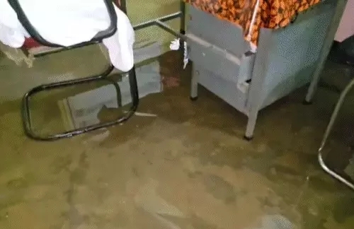 भारी बारिश के चलते स्कूल में घुसा पानी  