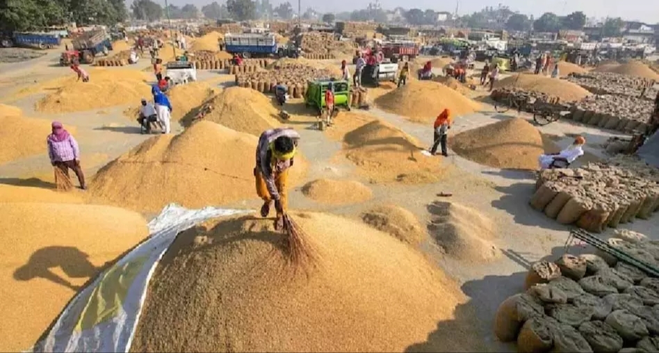 धान उपार्जन अवधि में उड़ीसा व अन्य राज्यों से अवैध परिवहन पर सख्त निगरानी  