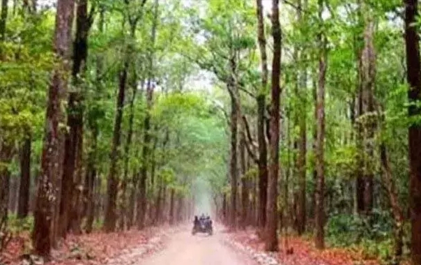 वन विज्ञान केंद्र : आदिवासियों और किसानों की आजीविका को मिलेगी नई उड़ान  