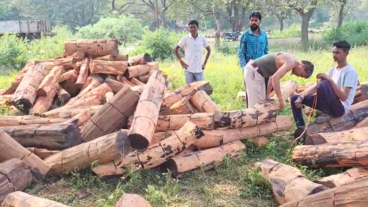 अवैध लकड़ी तस्करी पर वन विभाग की बड़ी कार्रवाई