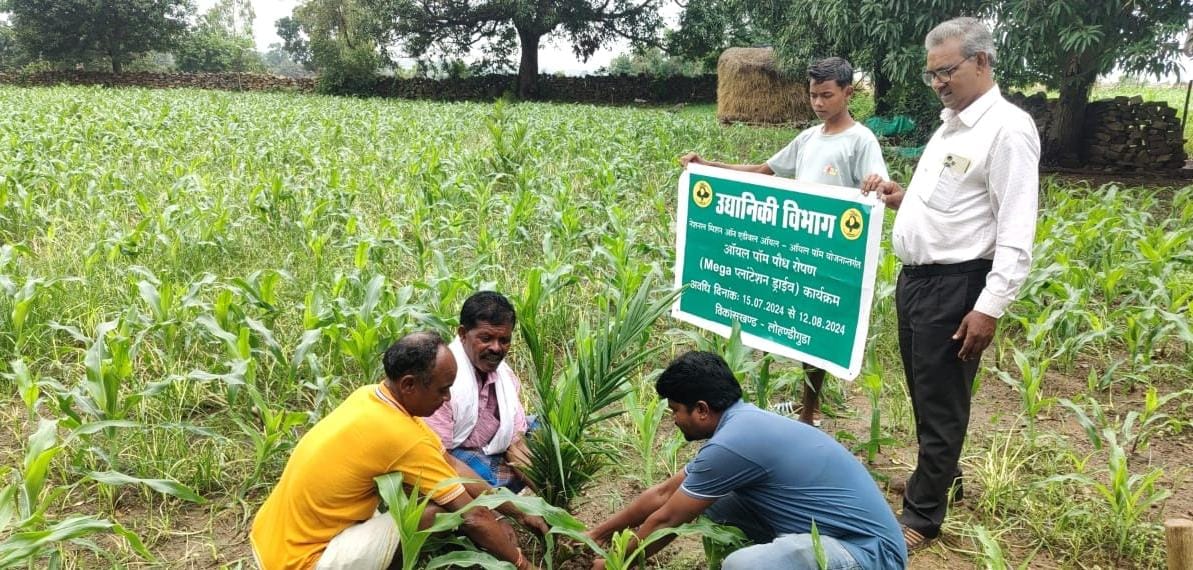 बंदूक की गूंज से फलों और फूलों की महक तक का सफर, बस्तर में साग-सब्जी, फलों की खेती से चमत्कारिक बदलाव