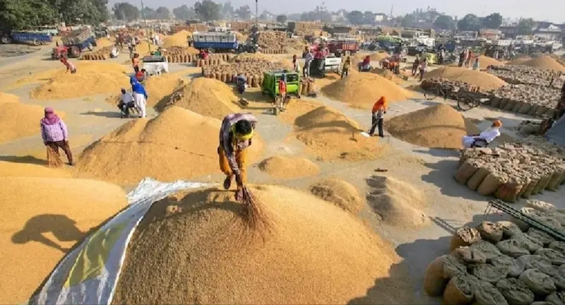 छत्तीसगढ़ में धान खरीदी के मद्देनज़र पुलिस ने जारी की विशेष एडवाइजरी