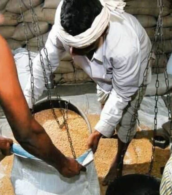 धान खरीदी नहीं करने वाले समितियों पर एक्शन, 250 राशन दुकानों का आवंटन निरस्त, 12 कर्मचारियों पर FIR दर्ज