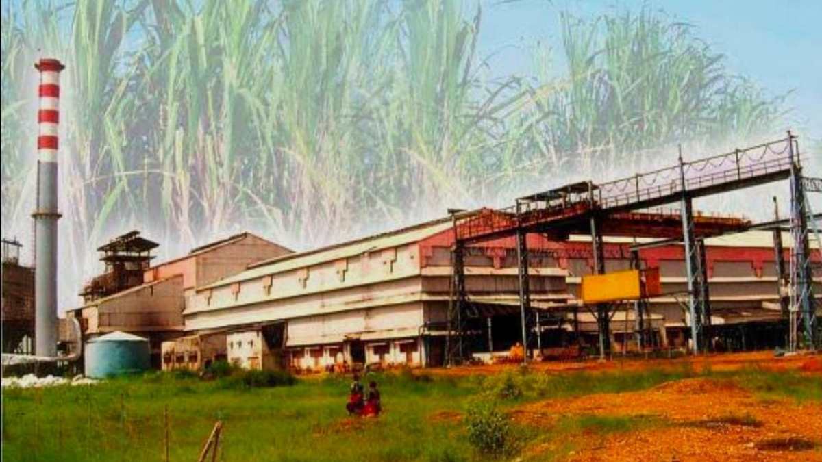 गन्ना आपूर्ति कम होने से चिंतित भोरमदेव शक्कर कारखाना, किसानों से साझा जिम्मेदारी की अपील