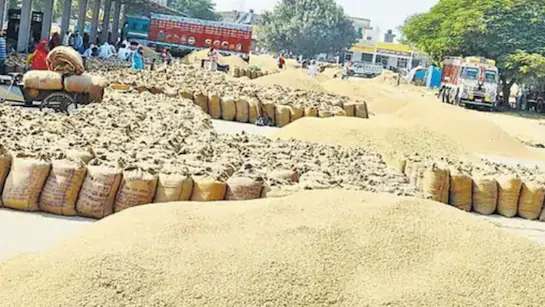 धान खरीदी में बड़ा फर्जीवाड़ा: महासमुंद के जगदीशपुर केंद्र से 650 पैकेट धान गायब, समिति प्रभारी पर FIR