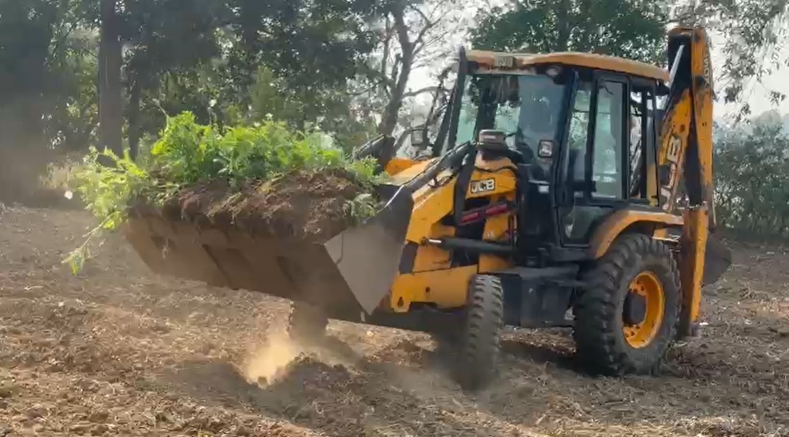 दुर्ग में अवैध अफीम की खेती पर प्रशासन की बड़ी कार्रवाई, जेसीबी से उखाड़े जा रहे पौधे