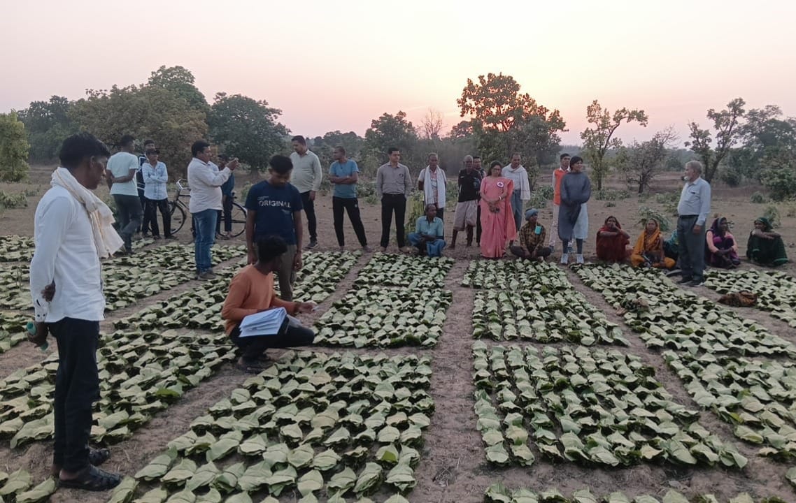 तेन्दूपत्ता संग्राहकों को बड़ी सौगात, 10 हजार से अधिक हितग्राहियों के खातों में पहुंची बोनस राशि