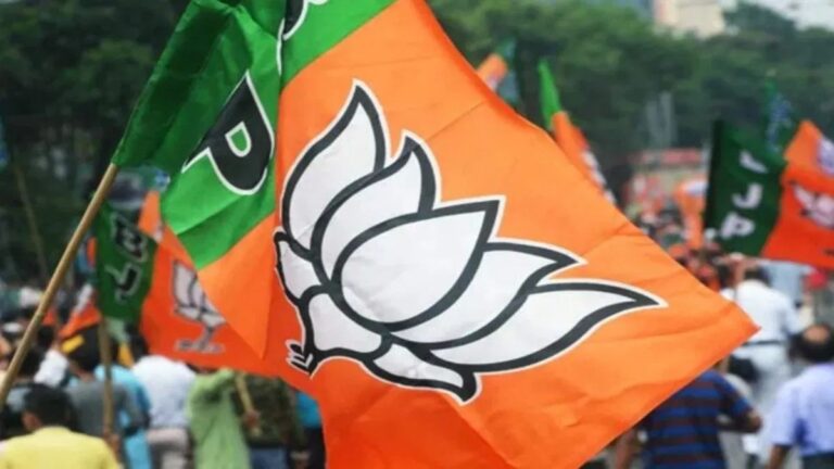 डोंगरगढ़ भाजपा में नहीं थम रहा असंतोष, लगातार इस्तीफों के बीच एक और नेता ने छोड़ा पद