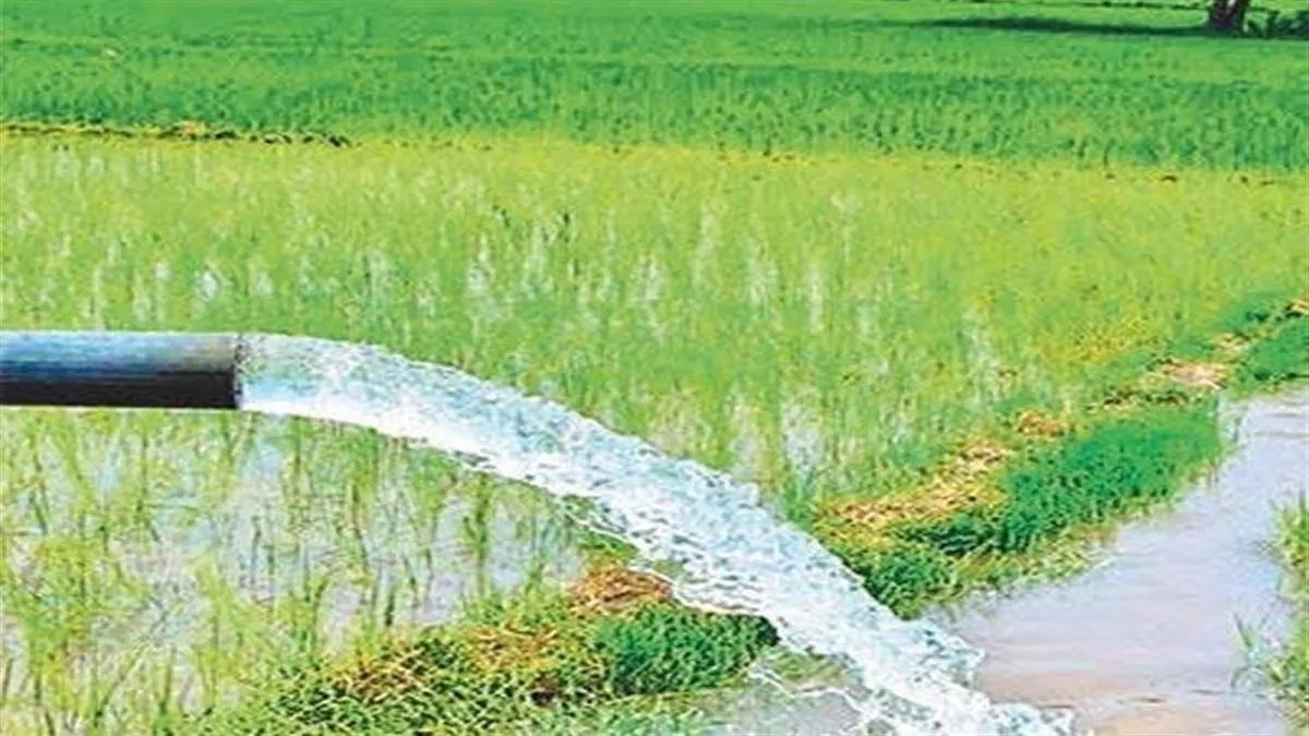 किसानों को बड़ी सौगात: सात सिंचाई योजनाओं के लिए 30.74 करोड़ स्वीकृत, नहरों के जीर्णाेद्धार सहित होंगे कई महत्वपूर्ण काम