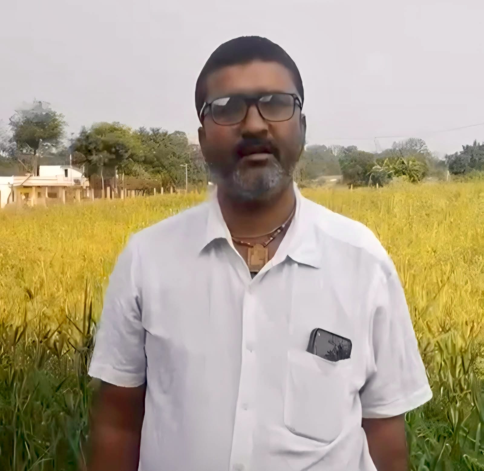धान छोड़ रागी की खेती अपना रहे किसान, कृषक उन्नति योजना से मिलेगी ₹10 हजार की प्रोत्साहन राशि