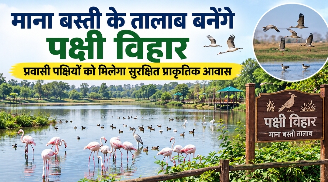 माना बस्ती के तालाब बनेंगे पक्षी विहार: प्रवासी पक्षियों को मिलेगा सुरक्षित प्राकृतिक आवास, जनपद CEO ने पंचायत को कार्ययोजना बनाने दिए निर्देश