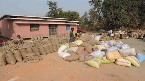 किसानों के हित में लिया बड़ा फैसला 4 फरवरी तक होगी समर्थन मूल्य और लिंकिंग पर धान खरीदी