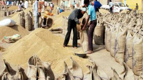 धान खरीदी में फर्जीवाड़ा : समिति प्रबंधक और प्रभारी पर एफआईआर दर्ज