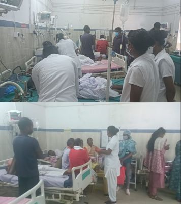 सरहुल महोत्सव में पूजा के दौरान मधुमक्खियों ने किया हमला, मची अफरातफरी, 50 से अधिक लोग हुए घायल