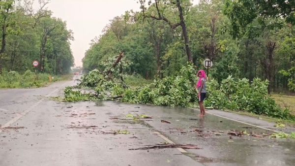 छत्तीसगढ़ में फिर बदला मौसम का मिजाज: तेज आंधी-तूफान और बारिश से जनजीवन हुआ अस्त-व्यस्त, पेड़ टूटकर सड़क पर गिरे, इन जिलों के लिए अलर्ट जारी