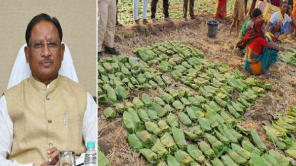 मोदी की गारंटी का हर वादा हो रहा पूरा, हरे सोने का दे रहे अच्छा दाम, आदिवासी भाई-बहनों के जीवन में आएगी खुशहाली &ndash; विष्णुदेव साय