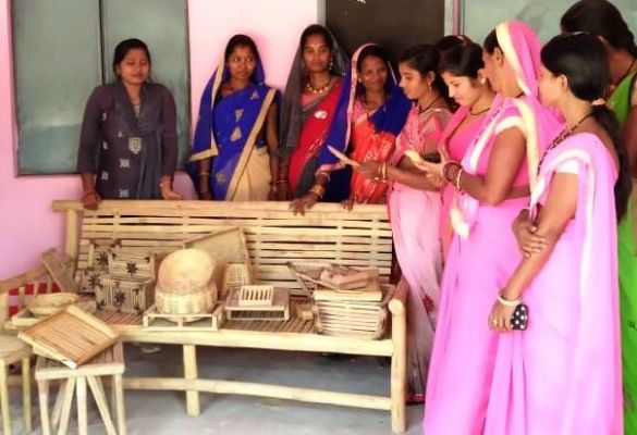 विशेष पिछड़ी जनजाति की कमार महिलाएं गढ़ रही है विकास की गाथा