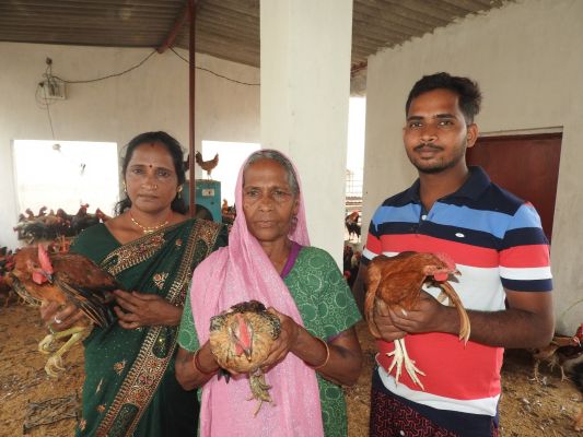 श्याम बाई ने मुर्गी पालन को बनाया अपना स्व-रोजगार