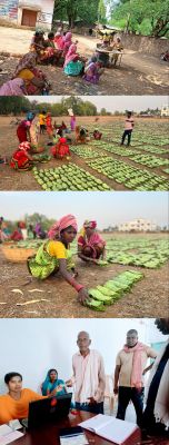 बस्तर के हरा सोना संग्राहकों को बैंक मित्र एवं बैंक सखियों से सीधे मिल रही पारिश्रमिक राशि