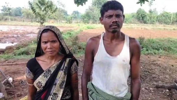 तेंदूपत्ता संग्रहण दर बढ़ने से संग्राहकों को हुआ 18.73 करोड़ अधिक मुनाफा, मुख्यमंत्री विष्णुदेव साय की पहल पर 5500 रुपये मानक बोरे की दर से दी जा रही राशि