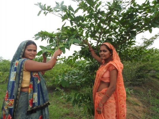 कोसाफल उत्पादन कर समूह की आजीविका में हुई वृद्धि, समृद्धि की ओर अग्रसर हुआ स्व-सहायता समूह