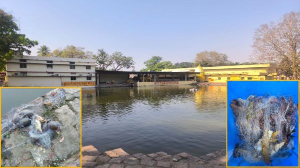 रतनपुर के महामाया मंदिर कुंड में 30 कछुओं की मौत, जाल में फंसे मिले कछुए, जांच में जुटा प्रशासन