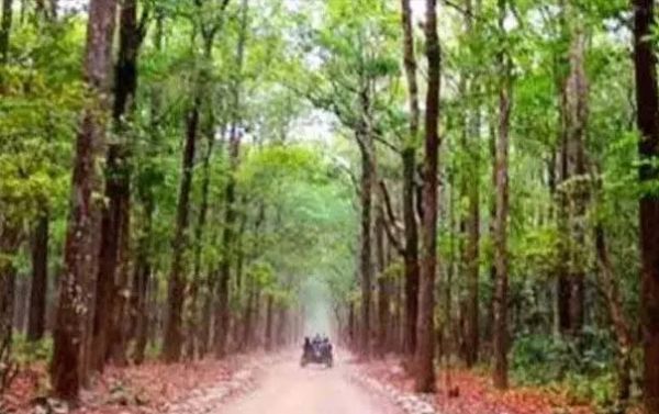 वन विज्ञान केंद्र : आदिवासियों और किसानों की आजीविका को मिलेगी नई उड़ान  