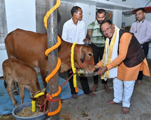 गोवर्धन पूजा के अवसर पर मुख्यमंत्री ने किया गौपूजन, प्रदेशवासियों की सुख-समृद्धि की कामना की