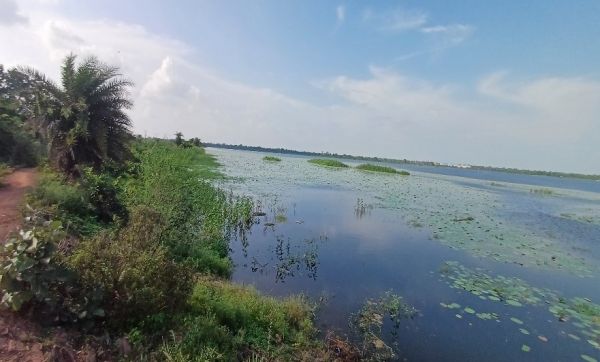 कोपरा जलाशय को मिलेगा रामसर स्थल का दर्जा, राज्य वेटलैंड प्राधिकरण ने भेजा प्रस्ताव