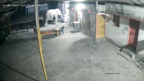 रिहायसी क्षेत्र में घुसा दंतेल हाथी, गेट तोड़कर की घर में घुसने की कोशिश, देखें वीडियो&hellip;