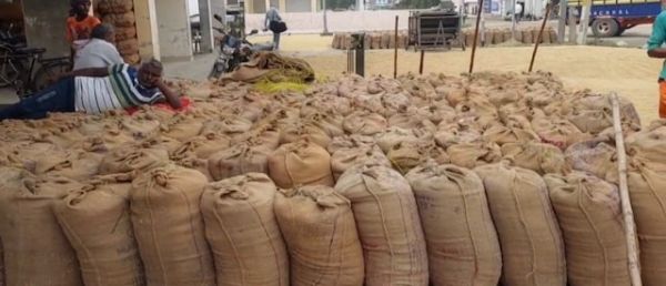 धान के अवैध परिवहन एवं भण्डारण पर प्रशासन अलर्ट मोड पर, अब तक 85 प्रकरणों में 11298.10 क्विंटल धान और 46 वाहन जब्त