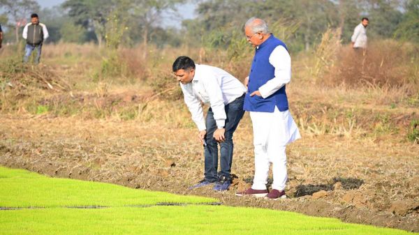 जेल से रिहा होने के बाद खेती कार्य में जुटे चैतन्य, भूपेश बघेल ने पोस्ट की तस्वीरें, लिखा&hellip;