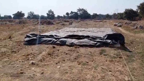 कवर्धा के बाद महासमुंद में भी चूहों की &ldquo;करामात&rdquo;, 10 माह में 5.71 करोड़ का धान गायब, संग्रहण केंद्र प्रभारी को नोटिस जारी