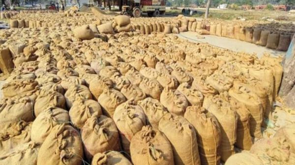 करोड़ों के धान गायब होने के आरोपों को सरकार ने बताया भ्रम, धान भंडारण में नमी के कारण वजन में आंशिक गिरावट स्वाभाविक और तकनीकी प्रक्रिया