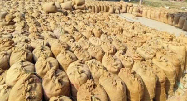 धान खरीदी में गड़बड़ी पर सरकार सख्त : दोषियों पर लगातार कार्रवाई जारी, सीएम साय ने कहा- अनियमितता करने वालों पर की जाएगी कठोर कार्रवाई