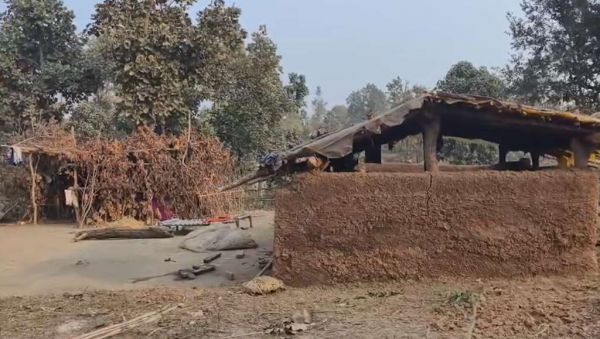 बलरामपुर में वन भूमि पर अवैध कब्जा: भू-माफियाओं ने काटा जंगल, वनरक्षक पर हमला; प्रशासन से सख्त कार्रवाई की मांग