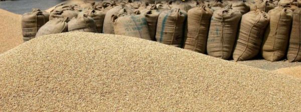 ई-मंडी में फर्जीवाड़ा उजागर : 5,600 क्विंटल धान के अवैध परिवहन पर कार्रवाई, फर्म सील, FIR दर्ज