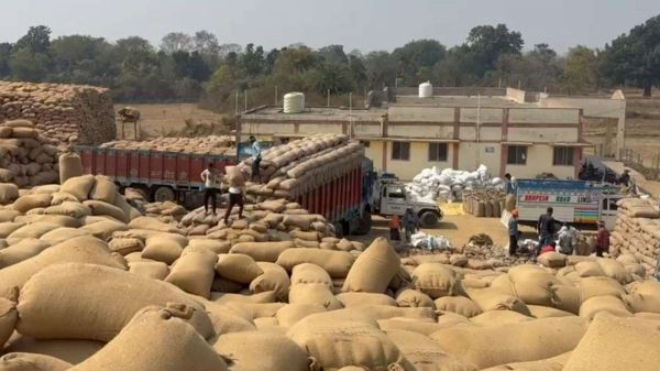 गरियाबंद में धान घोटाले की बू: 600 ट्रक धान की पावती पेंडिंग, जांच के घेरे में संग्रहण केंद्र